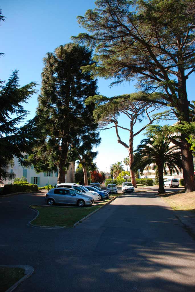SAINT-LEON_11
